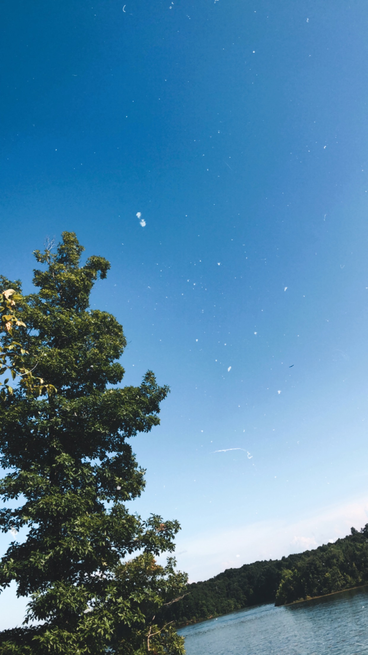 Hey, welcome! I ramble :)
